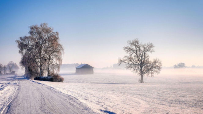 Odwołane lekcje z powodu mrozu