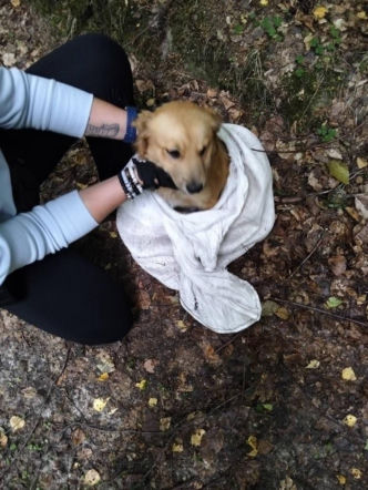 Wsadził przerażonego psa do worka i porzucił go w lesie! 47-latek w rękach policji
