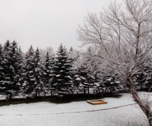 Zima Starachowice 29.11.2020
