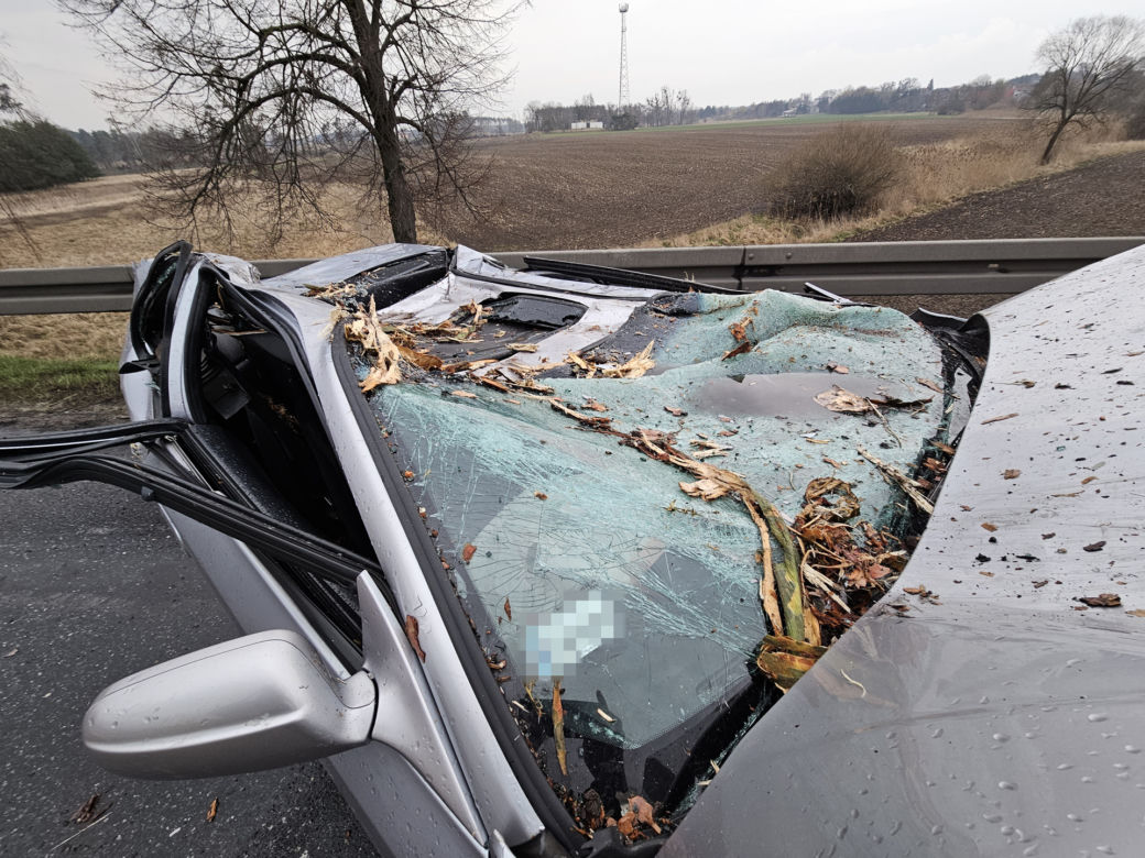 Kłody drewna spadły na samochody Poważny wypadek na DK11