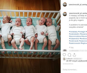 Jedyne w Polsce sześcioraczki rosną jak na drożdżach!