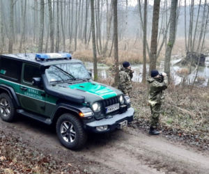 Jeepy Wrangler Sahara dla Straży Granicznej. Te samochody nie boją się bezdroży