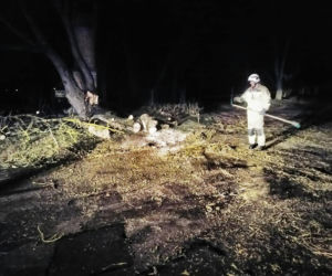 Silny wiatr na Warmii i Mazurach! Strażacy usuwają połamane drzewa
