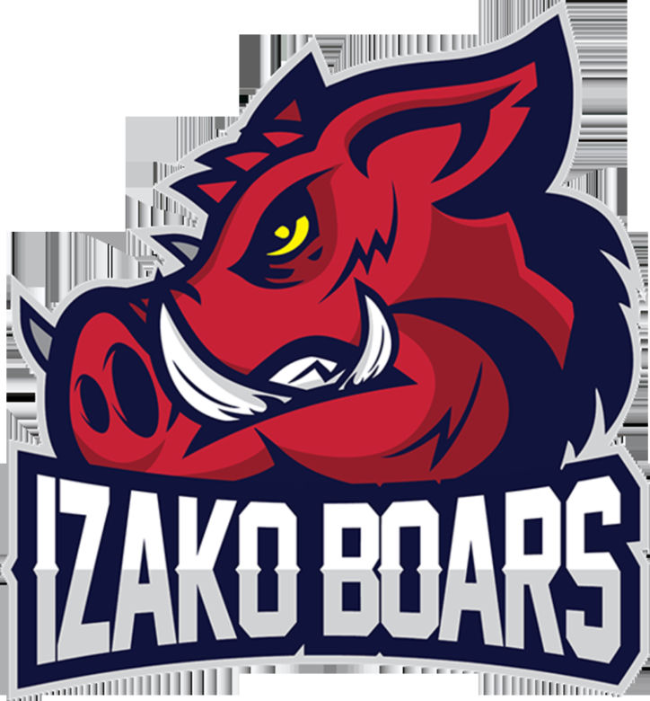 Polska Liga Esportowa