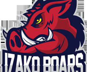 Polska Liga Esportowa
