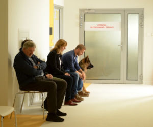 Komisarz Alex 13 sezon, odc. 157. Piotr Górski (Krystian Wieczorek), Marta (Beata Fido),komendant Mędrzak (Zbigniew Lesień)