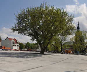 Kłobucki