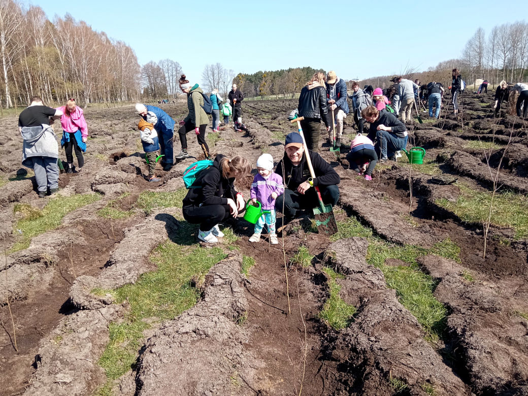 Akcja "Grudziądzanie sadzą las"!