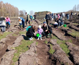 Akcja Grudziądzanie sadzą las!