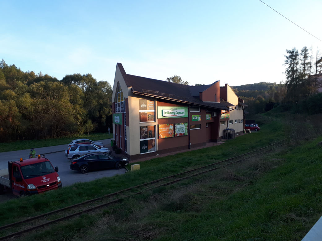 Doprowadzenie Adama Sz.