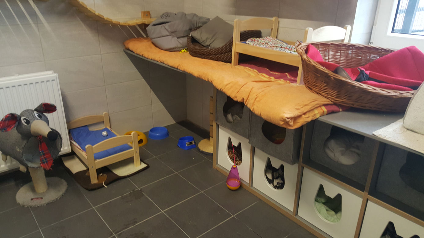 Sosnowieckie schronisko ma nową szczeniakarnię i kociarnię