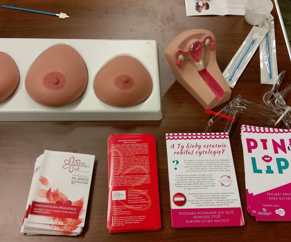 Pink Lips Project