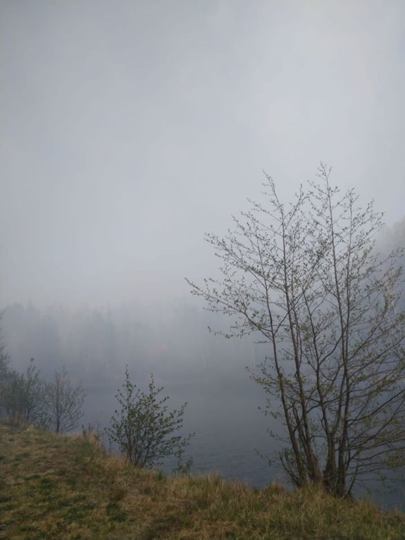 Pożar Lubańskiego Wielkiego Lasu 