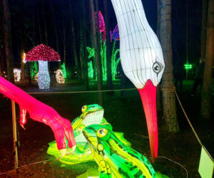 Lumina Park Bydgoszcz