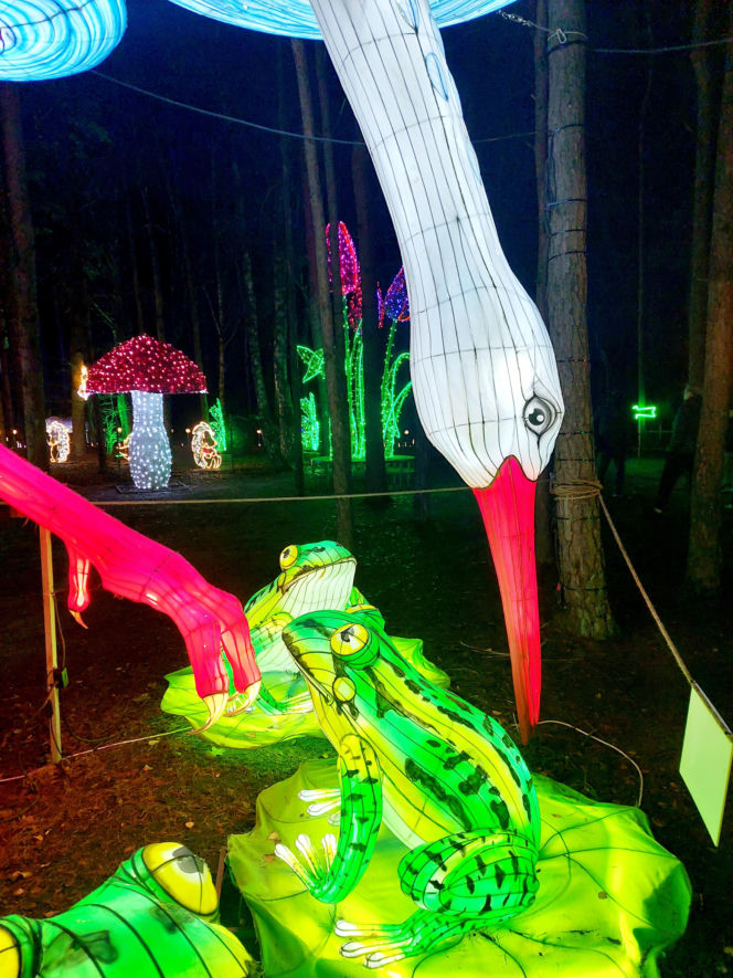 Lumina Park Bydgoszcz