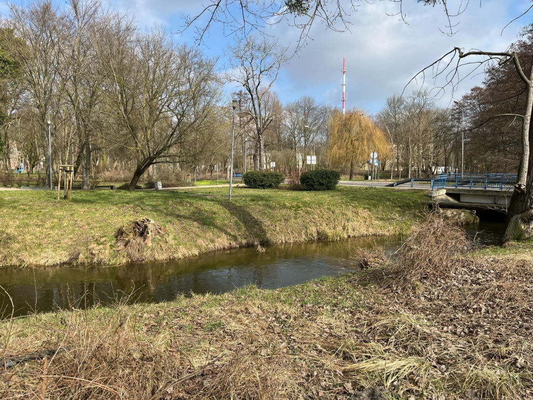 Dąbie 
