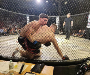Fotorelacja z Gali Sportów Walki Taurus Fight Arena 2026 w Siedlcach