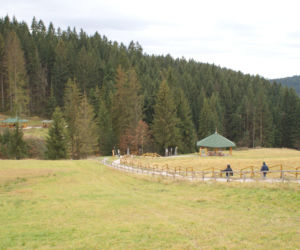 Niezwykła wieś w Beskidach na granicy trzech państw