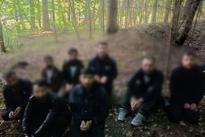47 migrantów zatrzymanych na granicy. Komunikat Straży Granicznej