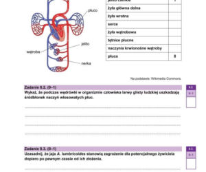 Arkusze matura próbna z biologii 14.01.2026