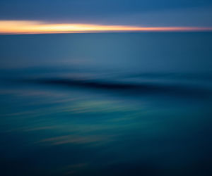 Rekin zaatakował turystkę. Jaki gatunek był odpowiedzialny za tragiczną śmierć?