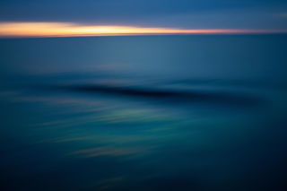 Rekin zaatakował turystkę. Jaki gatunek był odpowiedzialny za tragiczną śmierć?