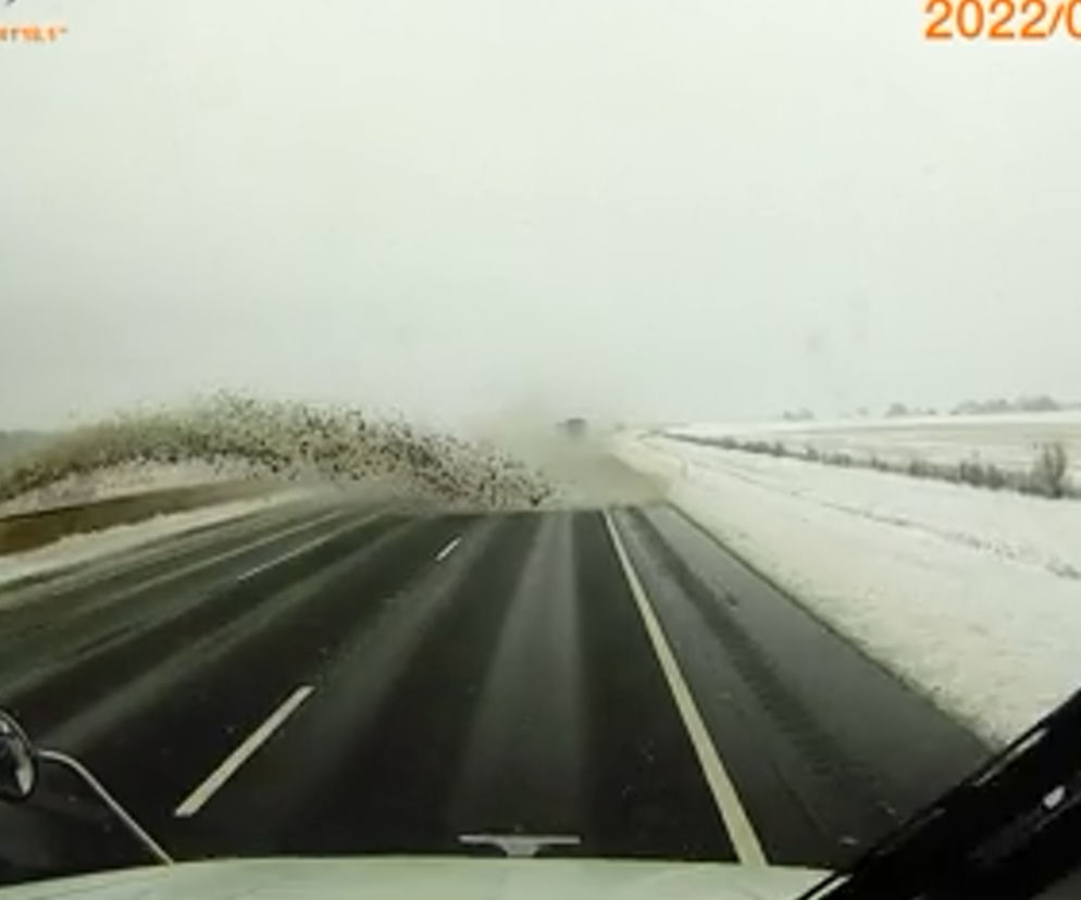 Kierowca pługa siał zamęt