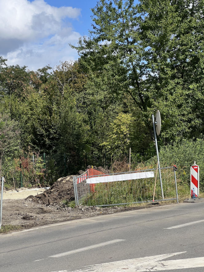 Zbudują ścieżkę rowerową za miliony, by za chwilę ją zburzyć? Absurdalna inwestycja we Wrocławiu