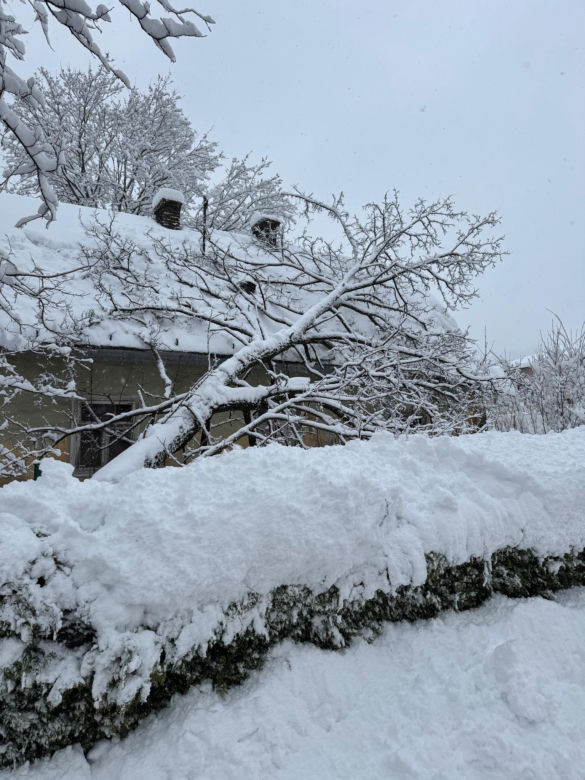 Podkarpacie pod śniegiem. Tysiące domów bez prądu, drogi sparaliżowane. Sprawdź, co dzieje się w regionie!