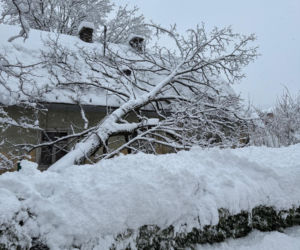 Podkarpacie pod śniegiem. Tysiące domów bez prądu, drogi sparaliżowane. Sprawdź, co dzieje się w regionie!