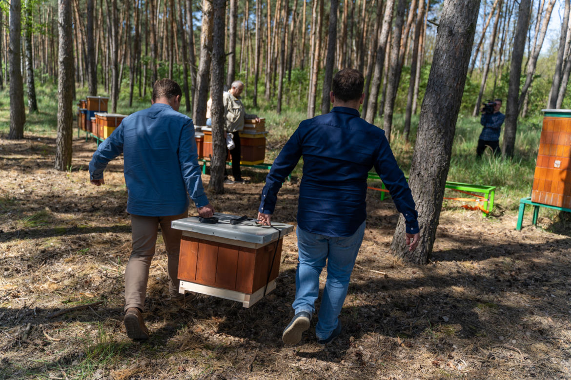 Pszczelarze z Rzeszowa uratowali pasiekę w Wielkopolsce [GALERIA]