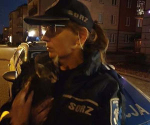 Wyrzuciła kota do kontenera na śmieci 