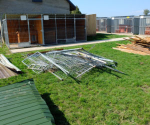 Trąba powietrzna przeszła przez schronisko dla psów. Psiakom na szczęście nic się nie stało, straty materialne są niestety duże