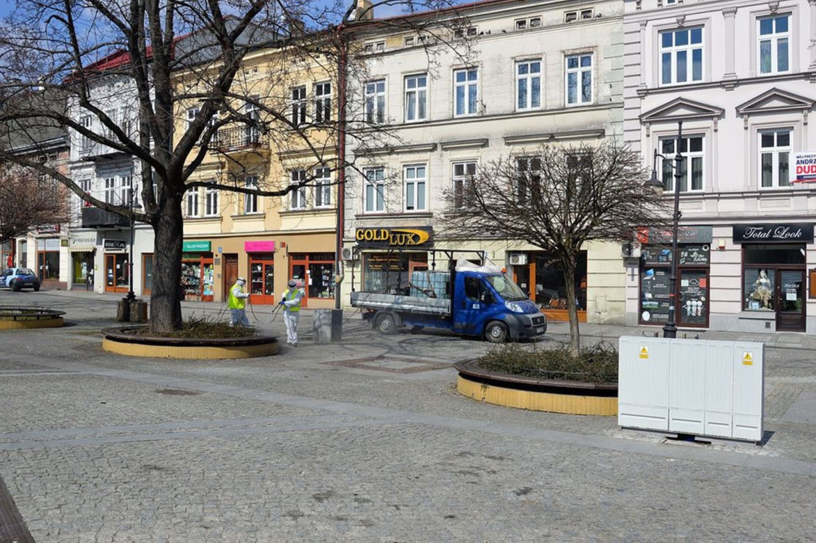 W Przemyślu odkażają Szwejka i niedźwiedzia