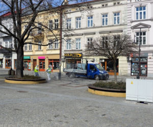 W Przemyślu odkażają Szwejka i niedźwiedzia