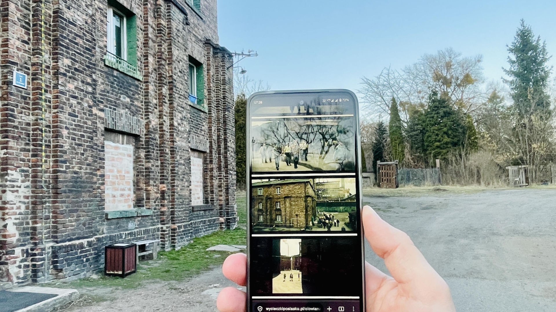 Kolonia Alfred w Katowicach