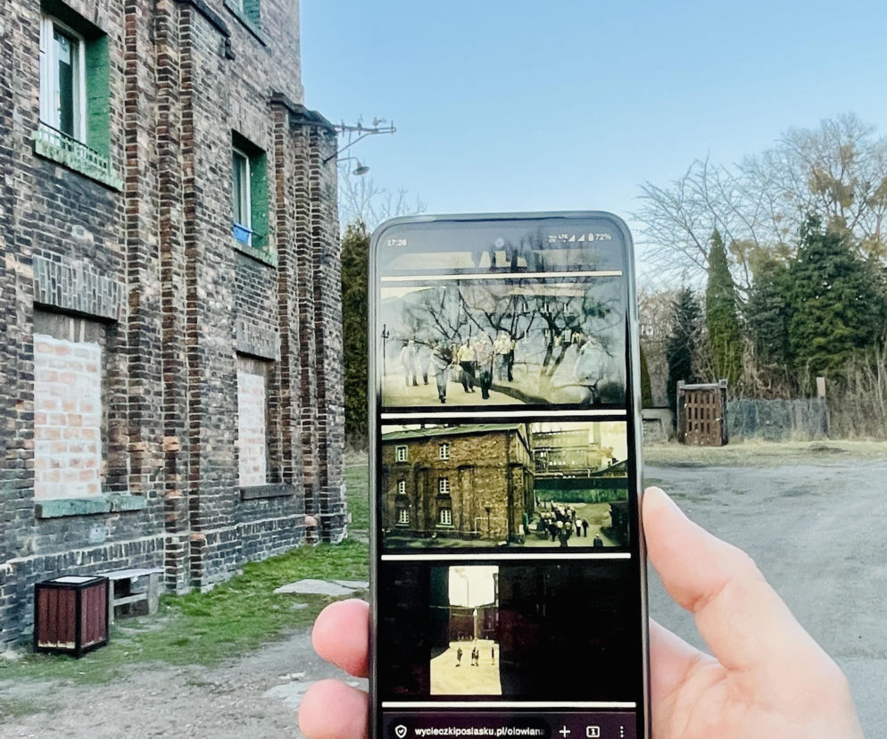 Kolonia Alfred w Katowicach