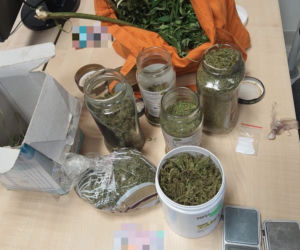 Kryminalni z Ciechocinka przejęli ponad 2 kilogramy marihuany. Oto co znaleźli