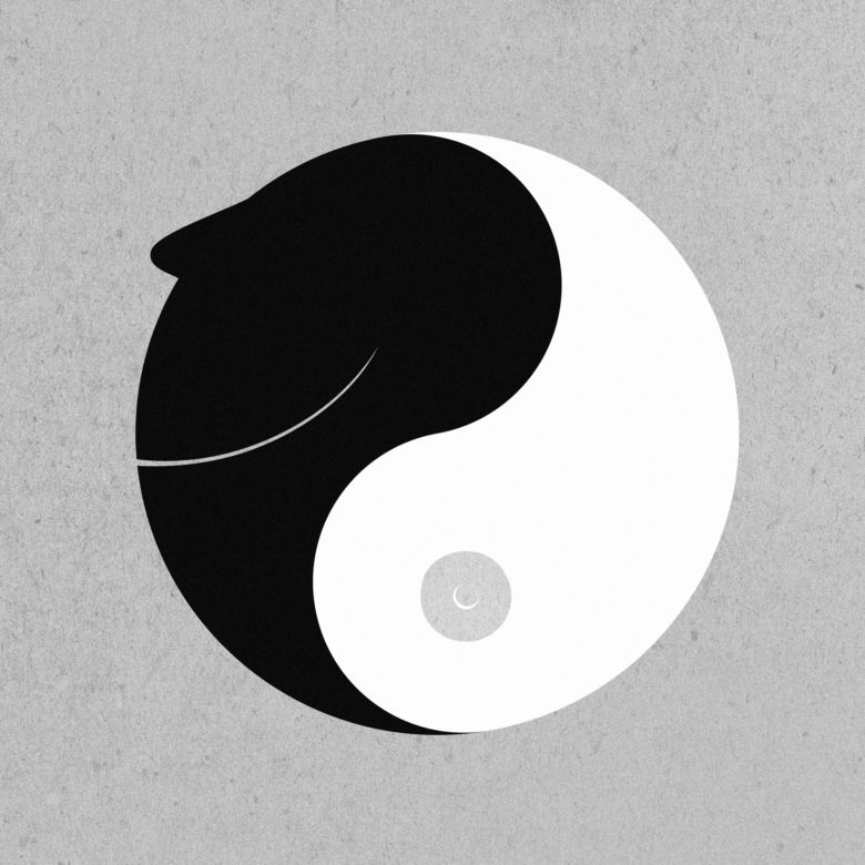 Ilustracje z nowej, wrocławskiej Kamasutry The Jonze