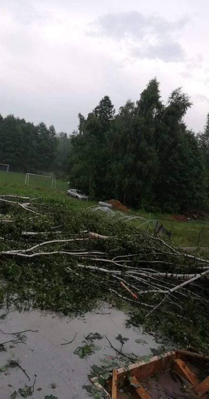Nawałnica w gminie Lisia Góra łamała drzewa jak zapałki. Potężne zniszczenia 