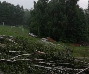 Nawałnica w gminie Lisia Góra łamała drzewa jak zapałki. Potężne zniszczenia 