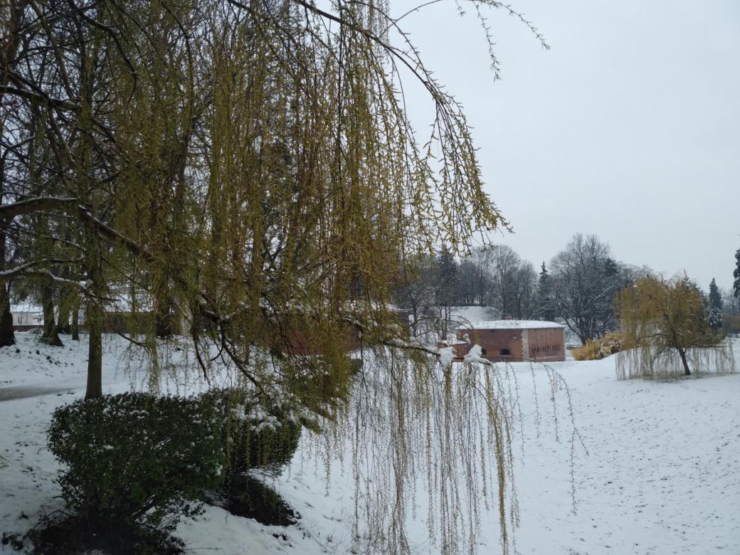 Zima w kwietniowym Zamościu. Sypnęło śniegiem