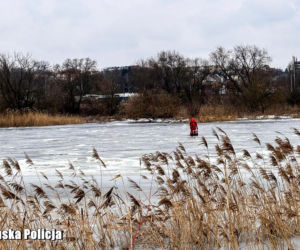 Od dwóch dni trwają intensywne poszukiwania młodej kobiety z Gorzowa Wielkopolskiego