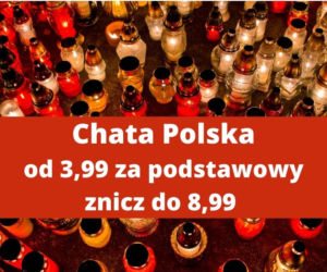 Wszystkich Świętych 2021: Ceny za znicze w dyskontach! Ile kosztują? 