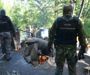 Bimber z Czarnej Białostockiej powstawał w środku lasu. Producent w końcu wpadł [ZDJĘCIA]