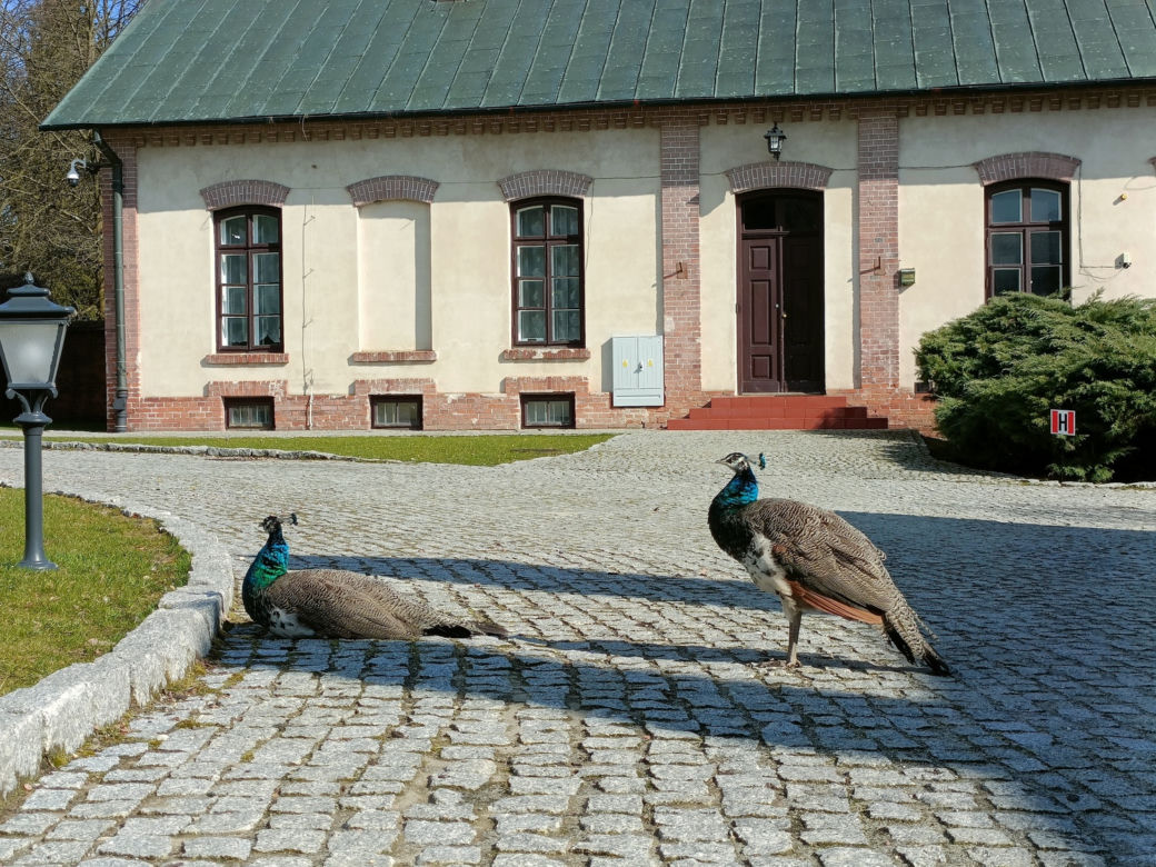 Muzeum Zamoyskich w Kozłówce wczesną wiosną