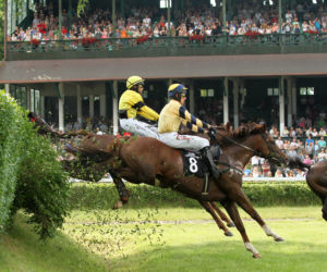 Ladies Day i Crystal Cup na Partynicach