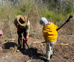 Siedleccy policjanci zasadzili drzewa w Golicach w ramach akcji „Plant a Tree – Green IPA Project”