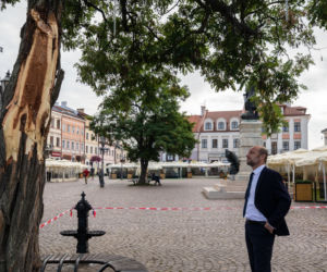 Drzewo na rynku zagrożone. Wczorajsza burza ułamała jeden z konarów
