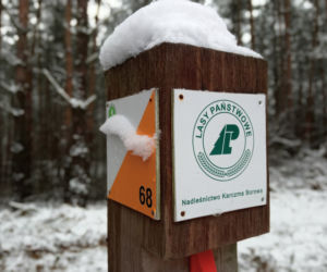 Wieża obserwacyjna na Górze św. Jadwigi